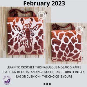 hide and seek giraffe mosaic crochet class