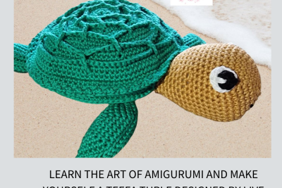 Crochet Teefa Turtle Class