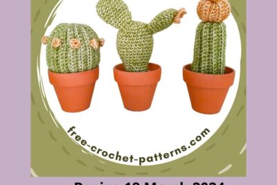 Crochet a Potted Succulent