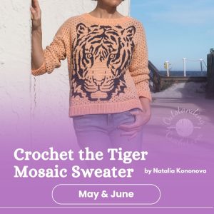 Crochet Class-  Tiger Mosaic Top