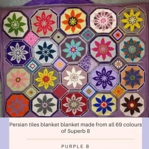 Purple-B-500x500