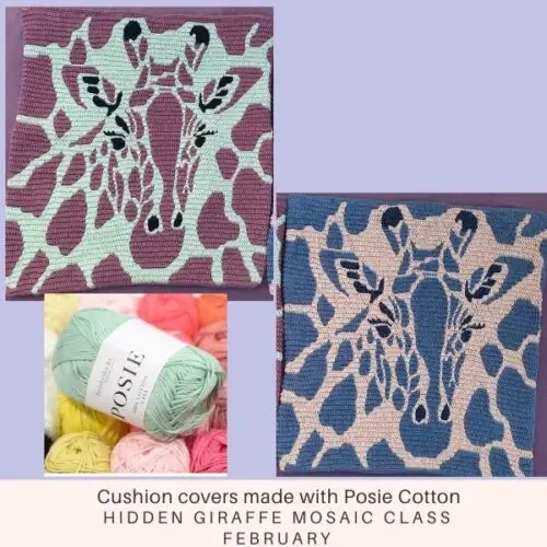 giraffe-500x500