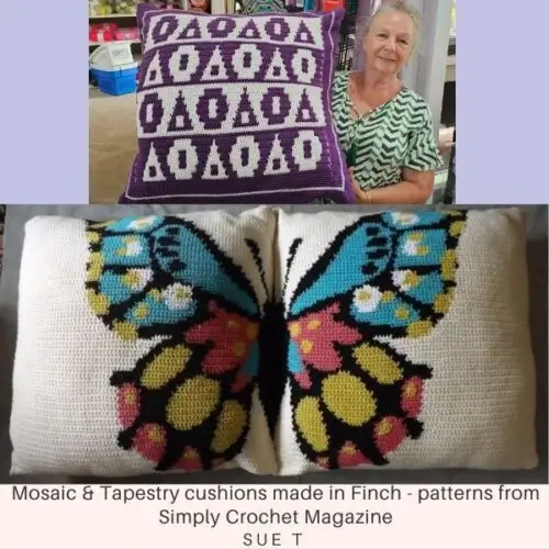 sue-t-cushions-500x500