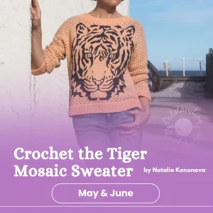 crochet mosaic tiger top class